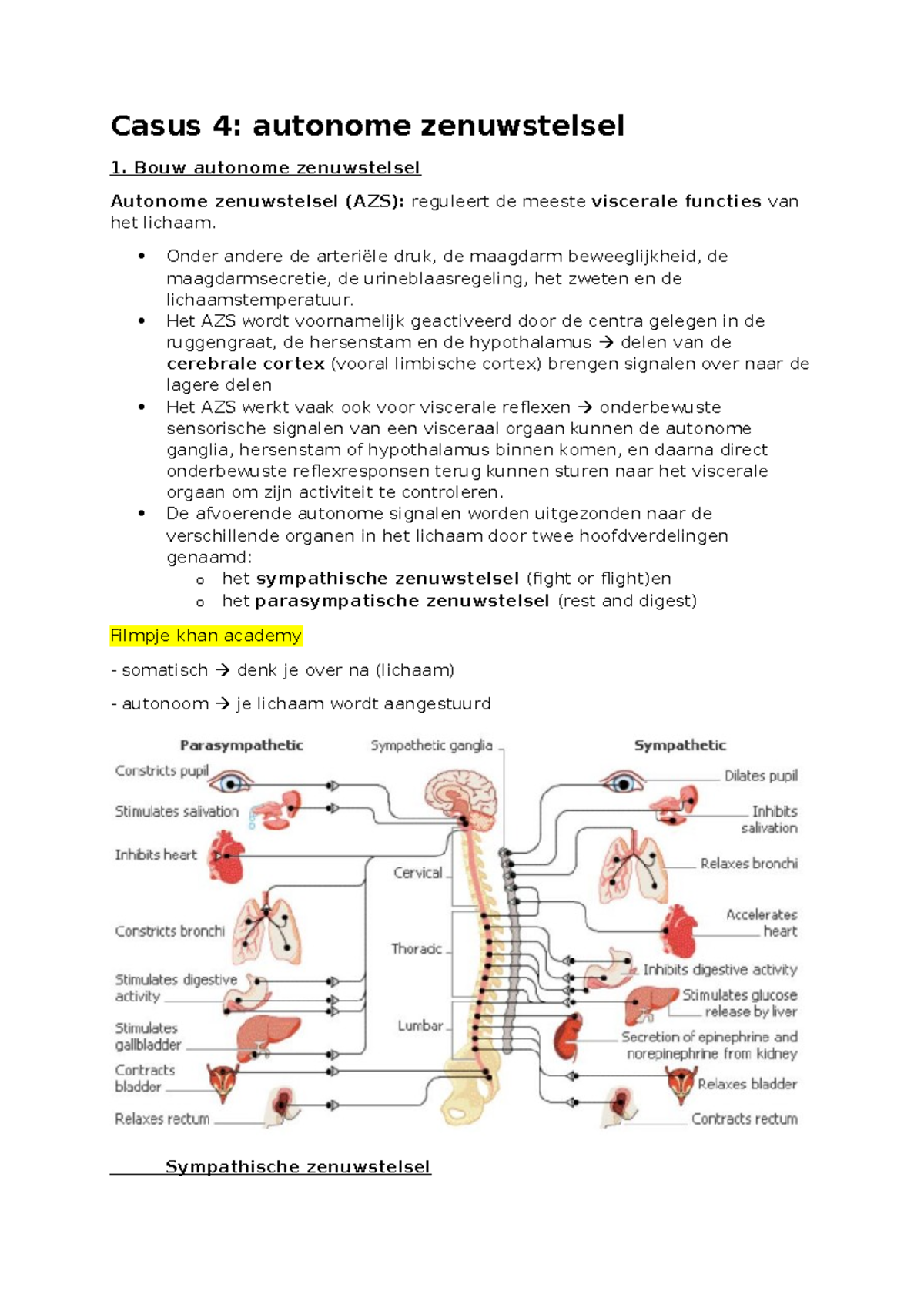 Casus 4 Autonome Zenuwstelsel - Casus 4: Autonome Zenuwstelsel Bouw ...