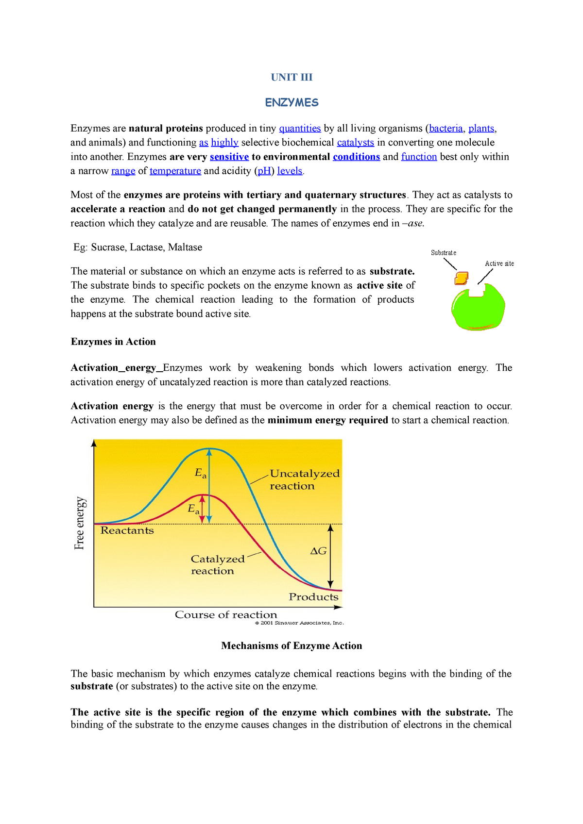 Unit 3 Biology - By S.S.Priyadharshini - UNIT III ENZYMES Enzymes Are ...