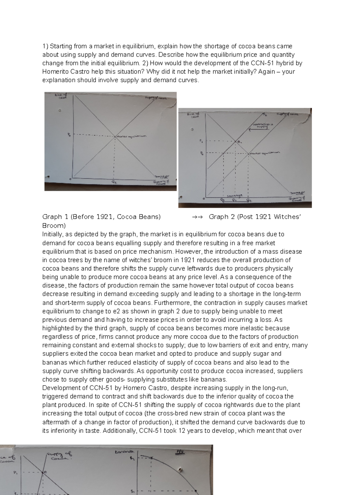 dynamics of markets grade 10 essay