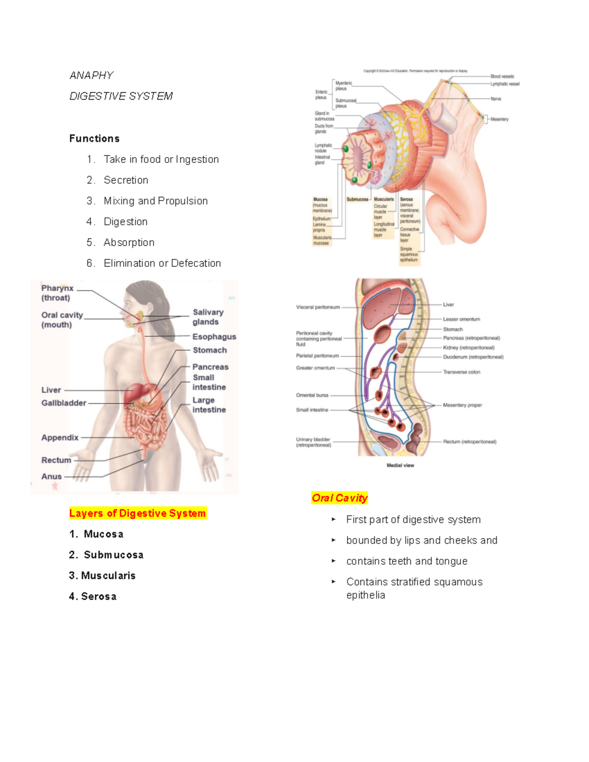 Digestive Reviewer - Summary BSN - ANAPHY DIGESTIVE SYSTEM Functions 1 ...