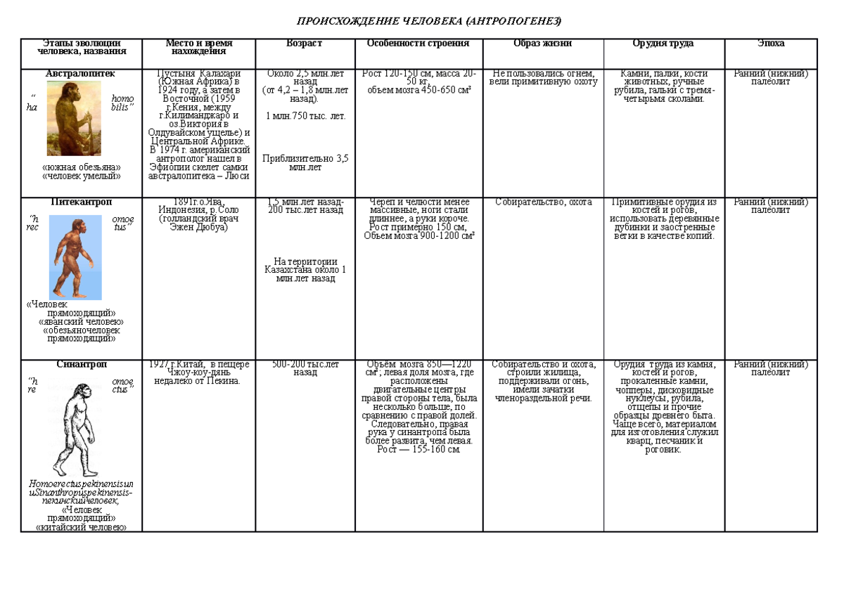 Образ человека таблица. Этапы эволюции человека таблица 8 класс биология предки человека. Стадии антропогенеза таблица 11. Стадии антропогенеза австралопитек таблица. Этапы антропогенеза человека таблица.