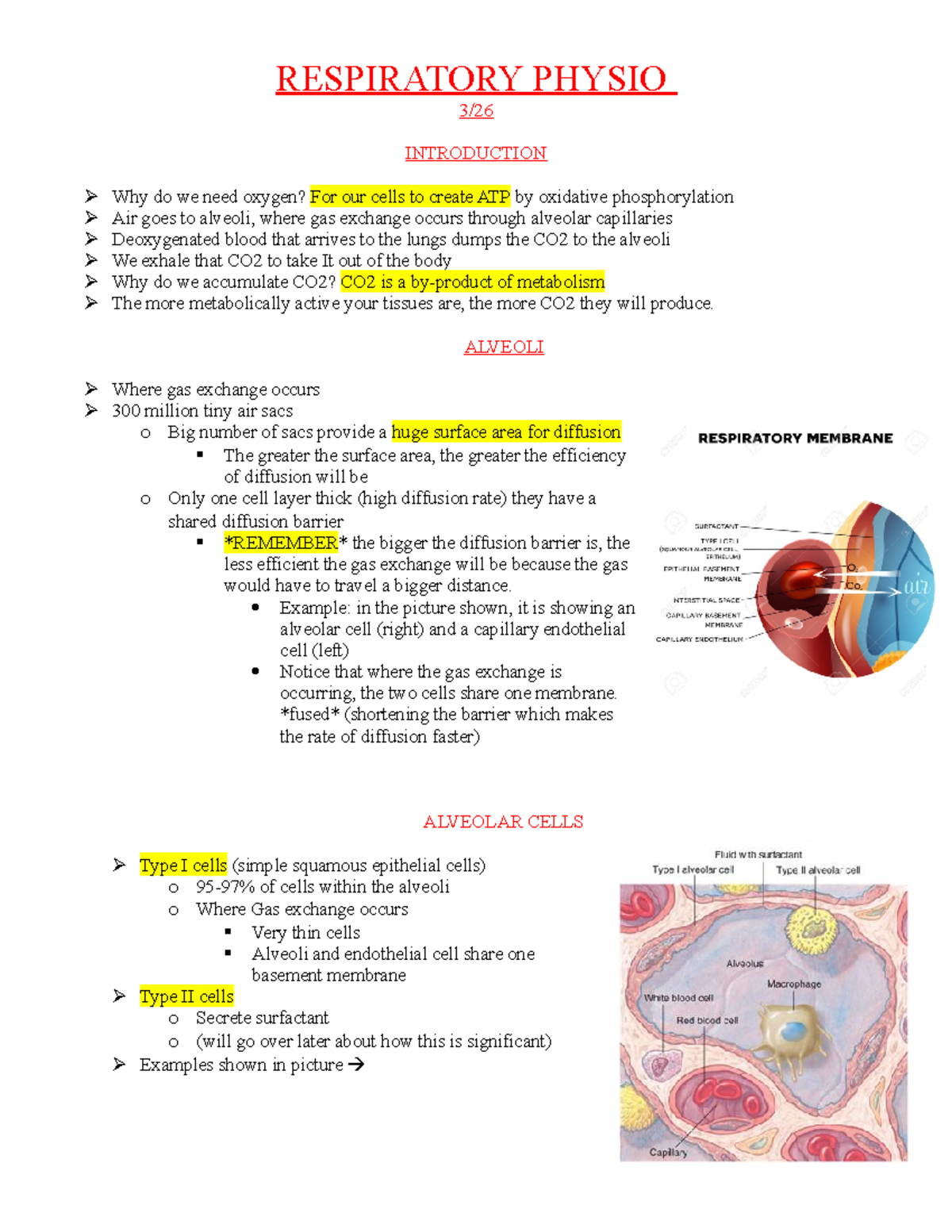 Respiratory Physio - PHS 4904 lecture notes Dr. Lyons - RESPIRATORY ...