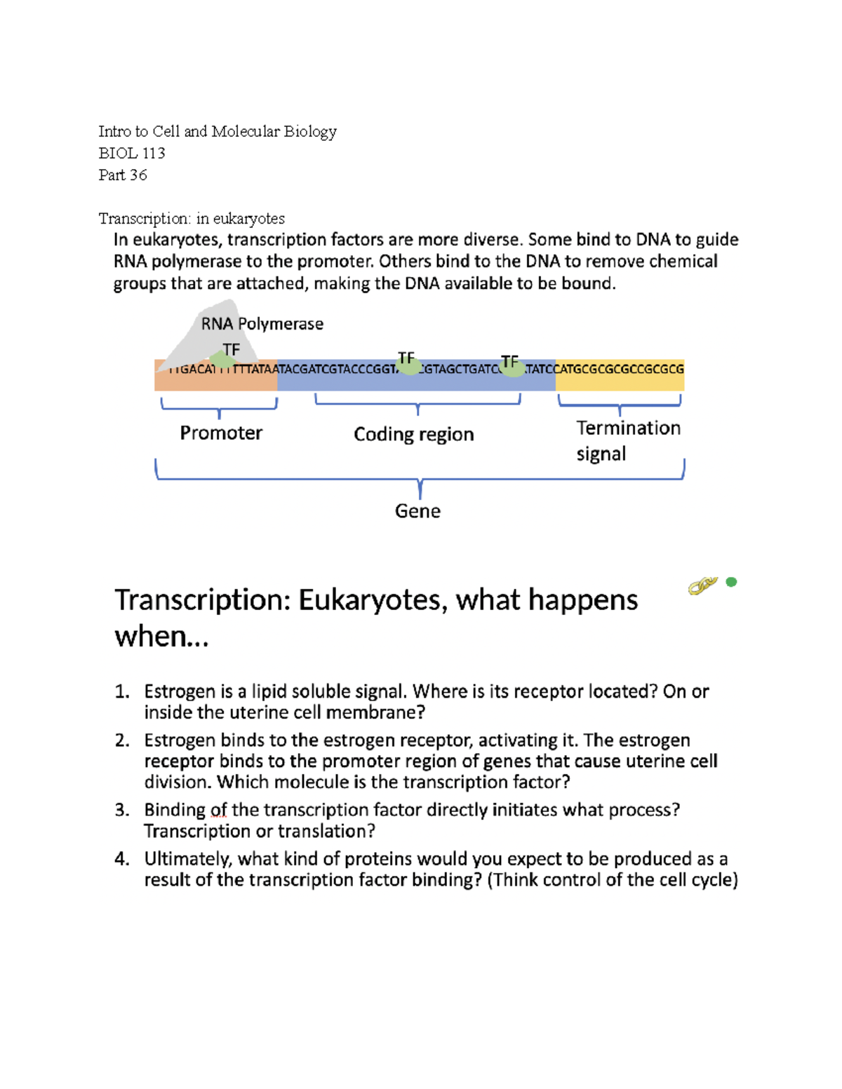 Intro To Cell And Molecular Bio 113 Lecture Notes Part 36 - Dr. Sarah ...