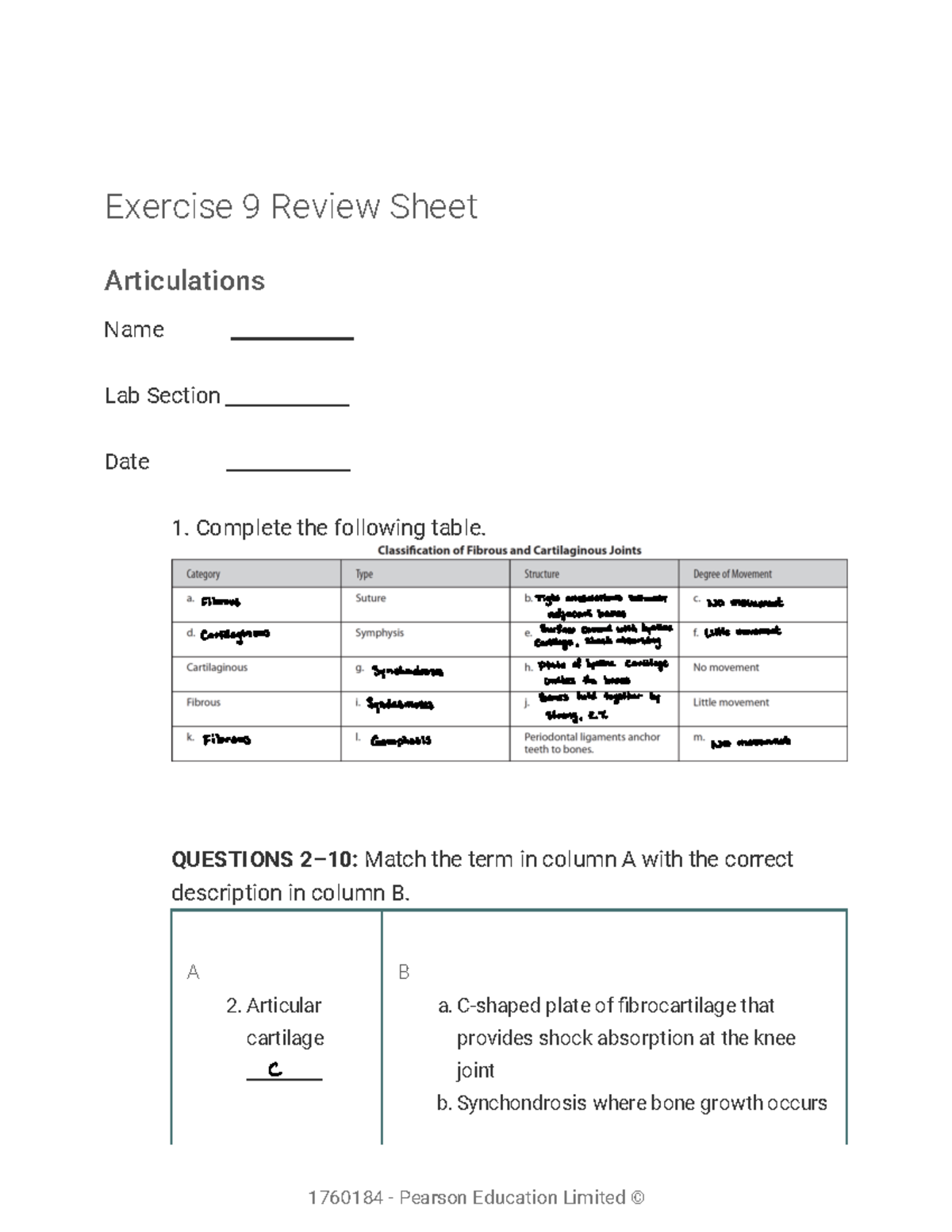 Lab Completed Lab Assignment Exercise Review Sheet Articulations Name Lab Section Date