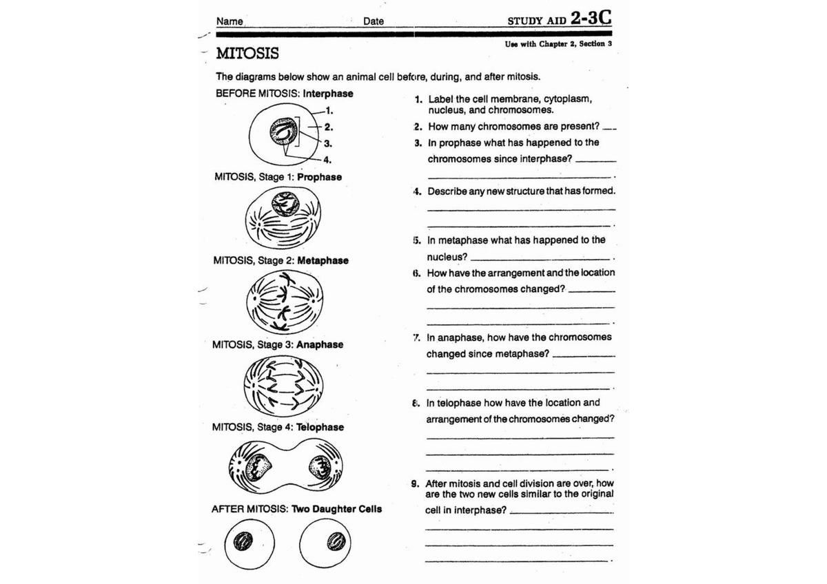 learning-with-biology-bsc-300-studocu