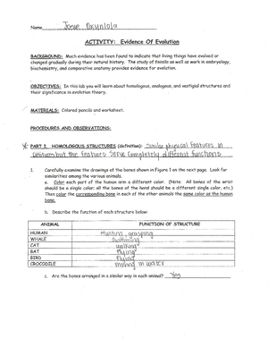 Plate Techtonic worksheet - Alfred Wegener proposed the continental ...