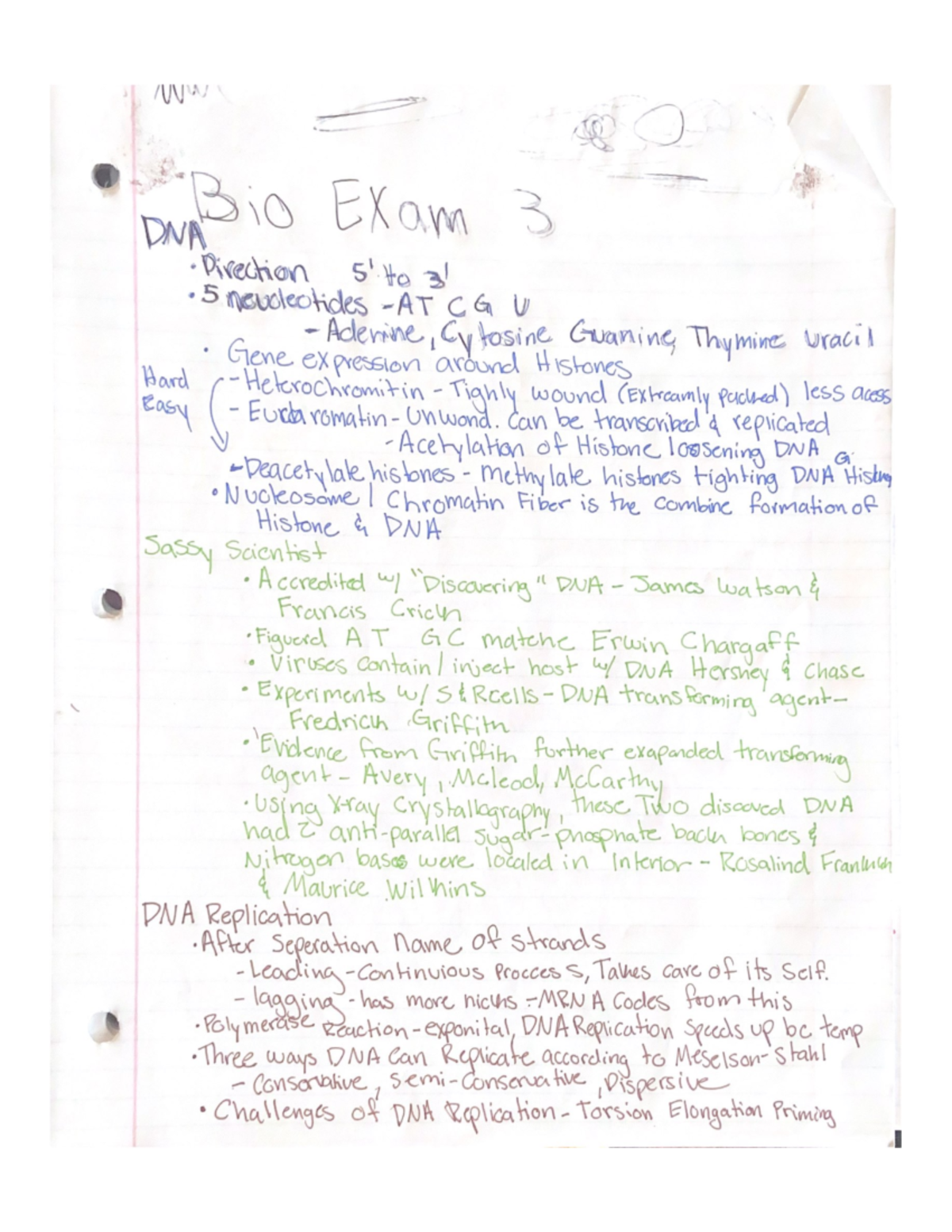 Bio Exam 3 Review - BIOL 111 - Studocu