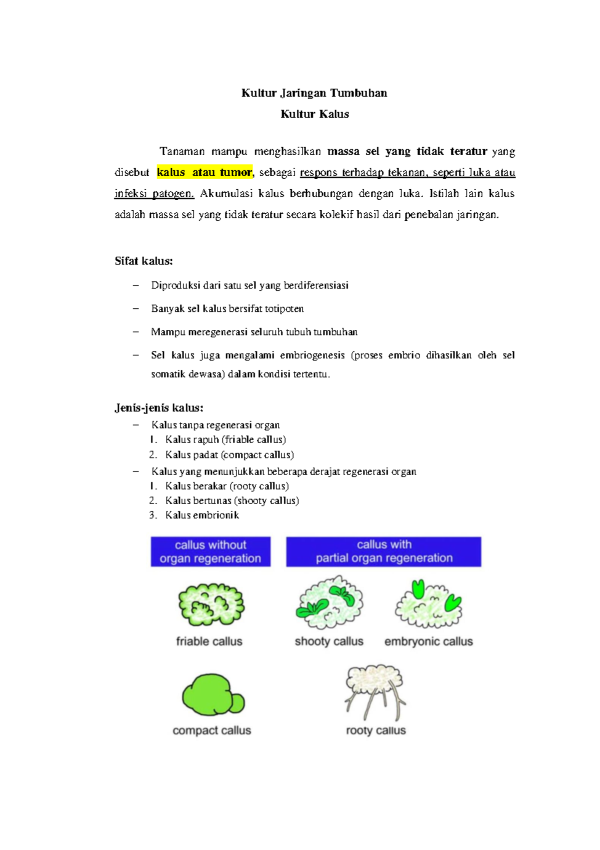 Kultur Jaringan Tumbuhan Kultur Kalus Kultur Jaringan Tumbuhan Kultur Kalus Tanaman Mampu