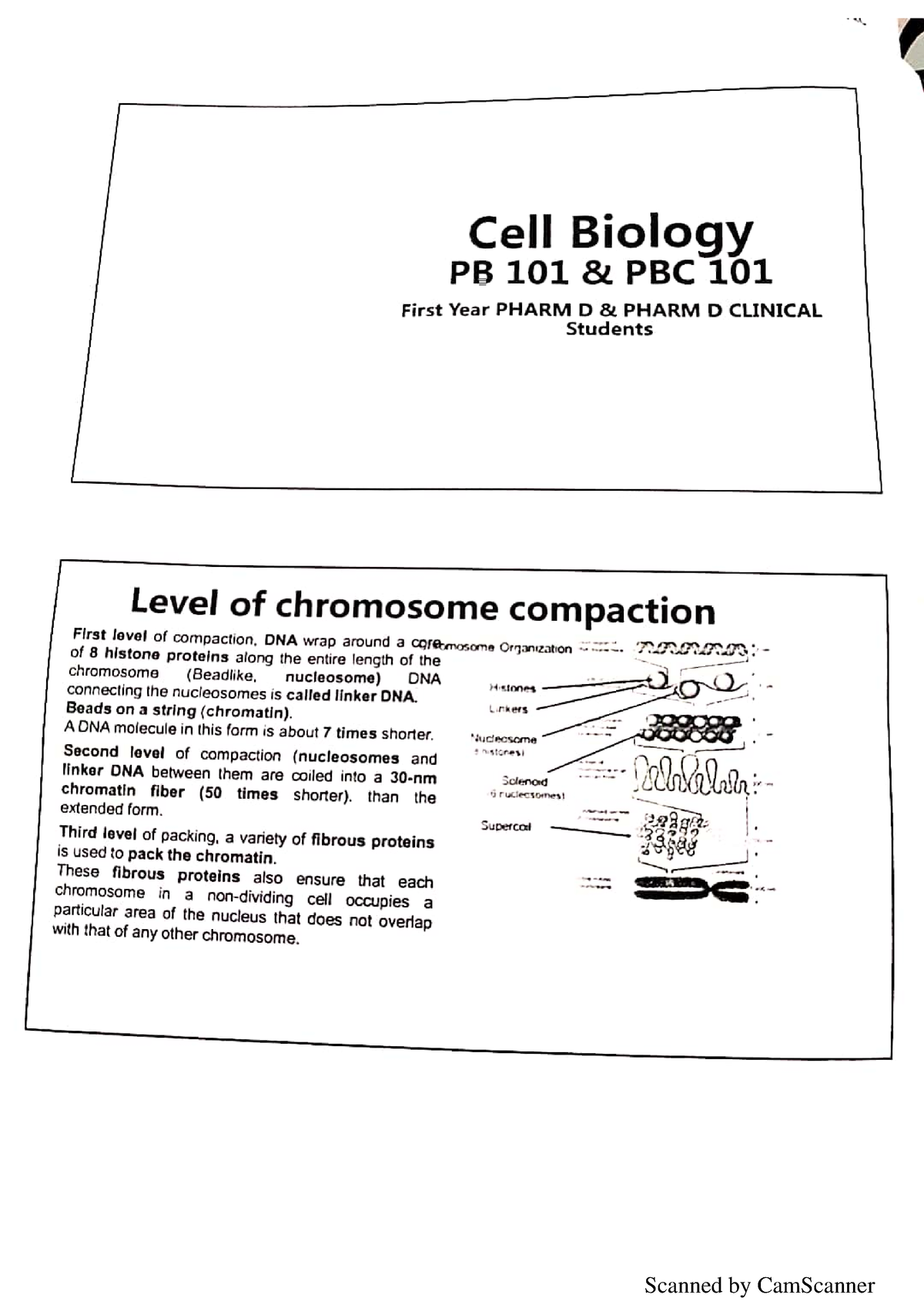 New Doc 2019-10-26 17 - Biochemistry Lecture - Studocu