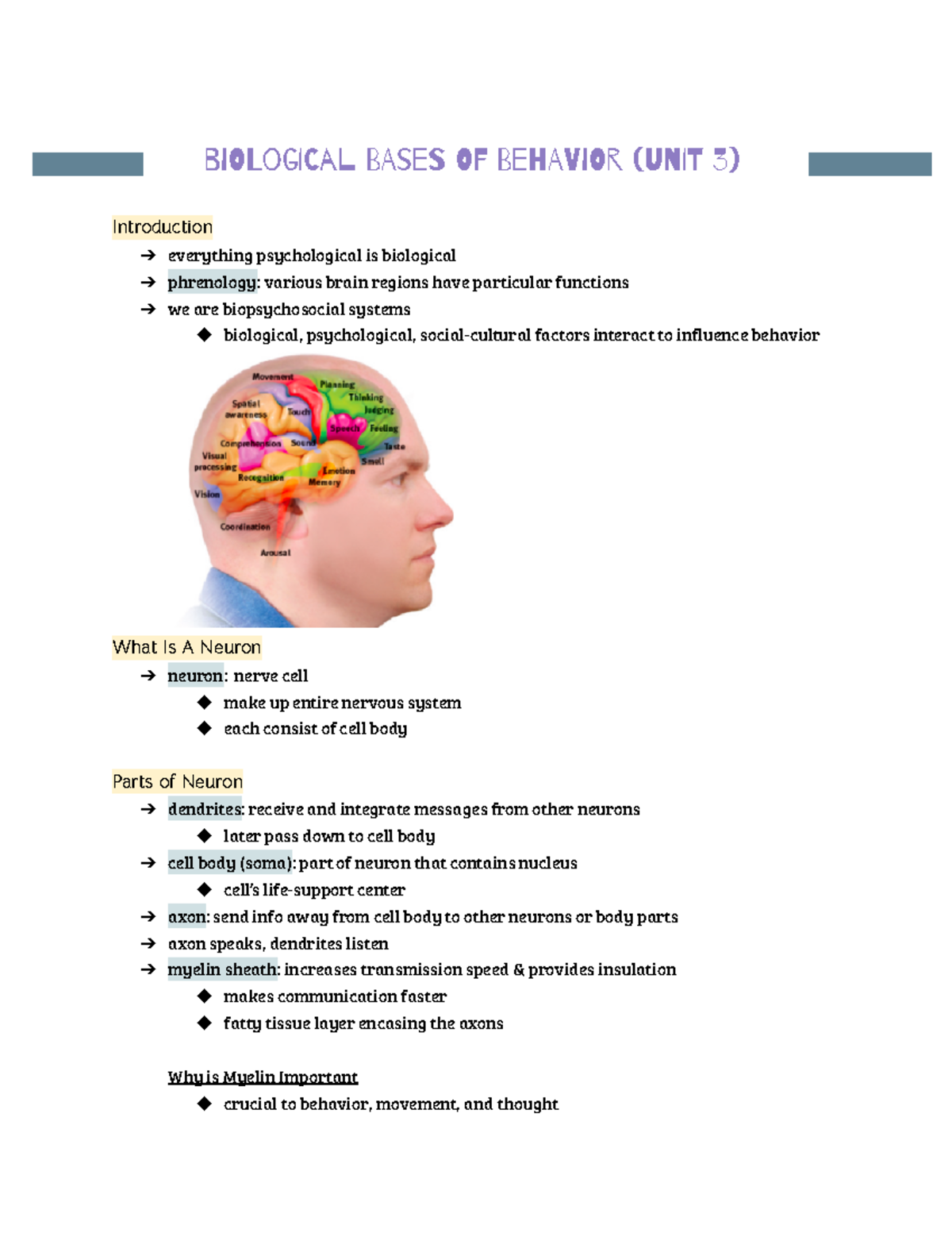 Unit 3 Biological Bases Of Behavior - BiOLogICal BAseS Of BehAViOr ...