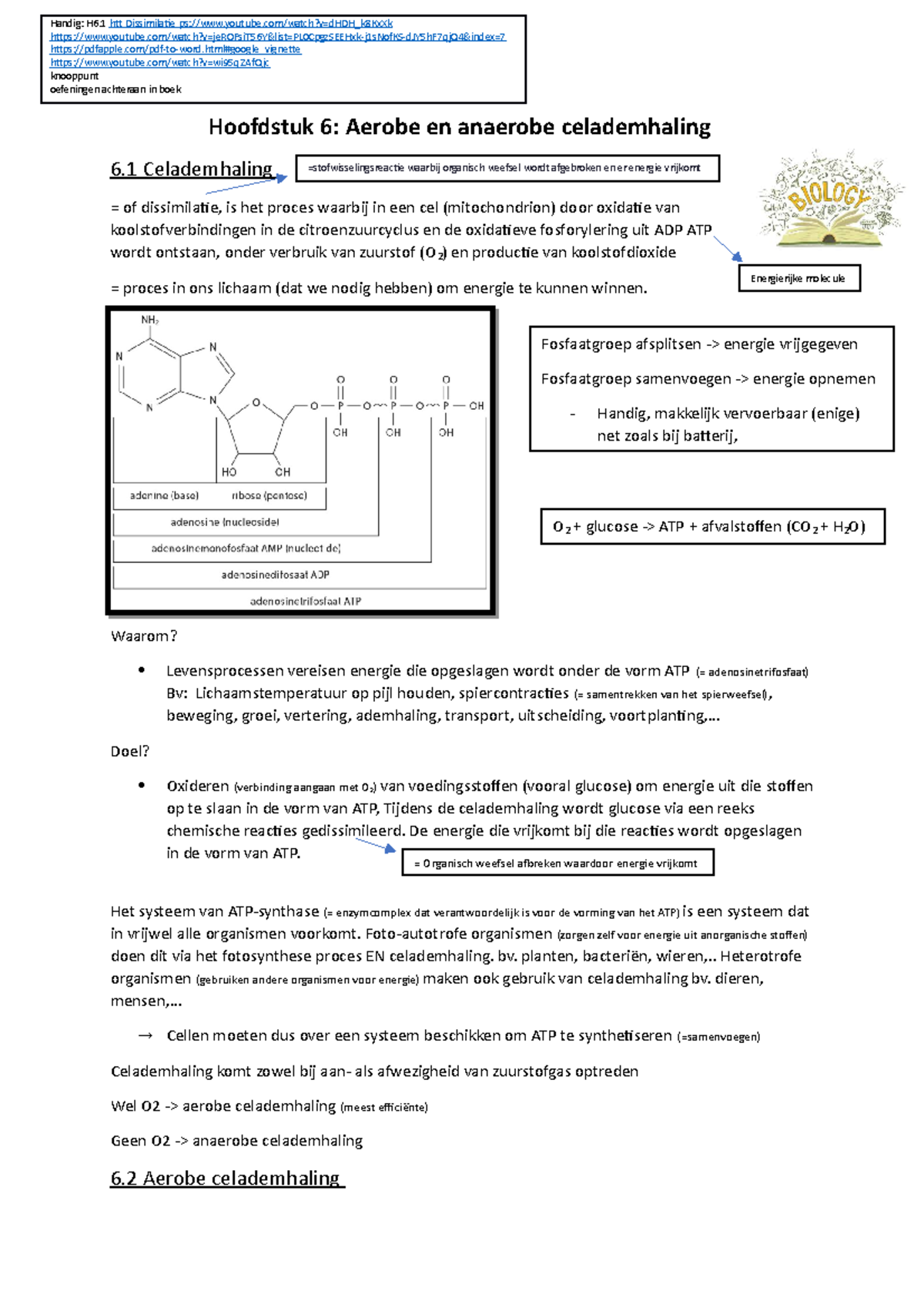 Biologie Samenvatting Hoofdstuk 6 Celademhaling 5de Middelbaar ASO ...