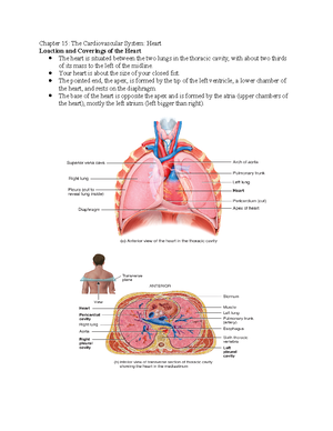 Human Biology Notes Ch. 2 - Human Biology Notes: Chapter 2 THE CHEMICAL ...