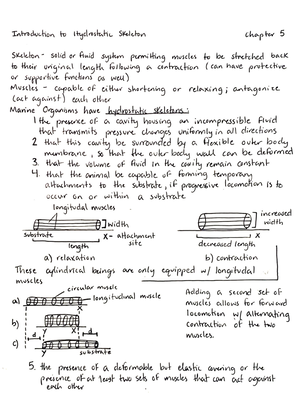 Notes on Phylum Echinodermata - Lecture Notes Phylum Echinodermata What ...
