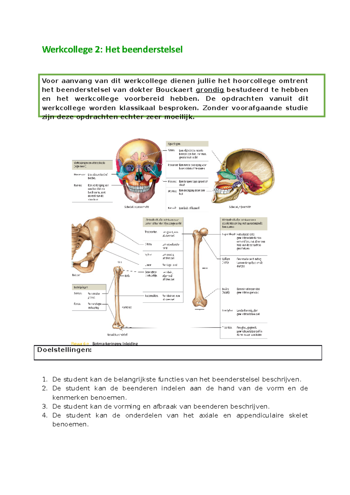 Werkcollege Van Het Beenderstelsel - Werkcollege 2: Het Beenderstelsel ...