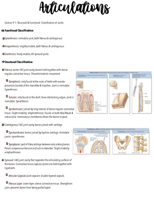 BIOL 110 Week 3 Lec 3 - BIOL 110 Anatomy And Physiology - September 14 ...