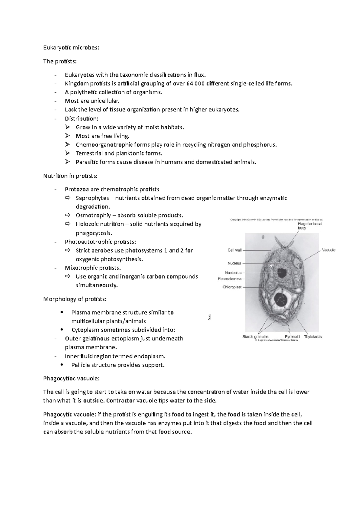 Lecture 10 Eukaryotic microbes - Eukaryotic microbes: The protists ...