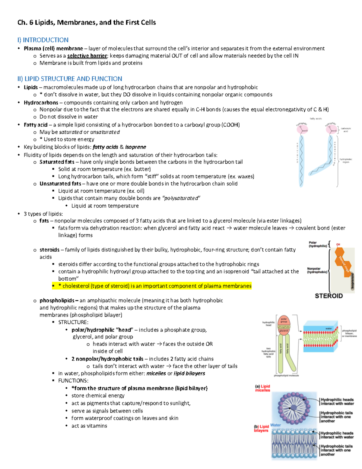 Ch. 6 study guide - Lipids, Membranes, and the First Cells - - Studocu