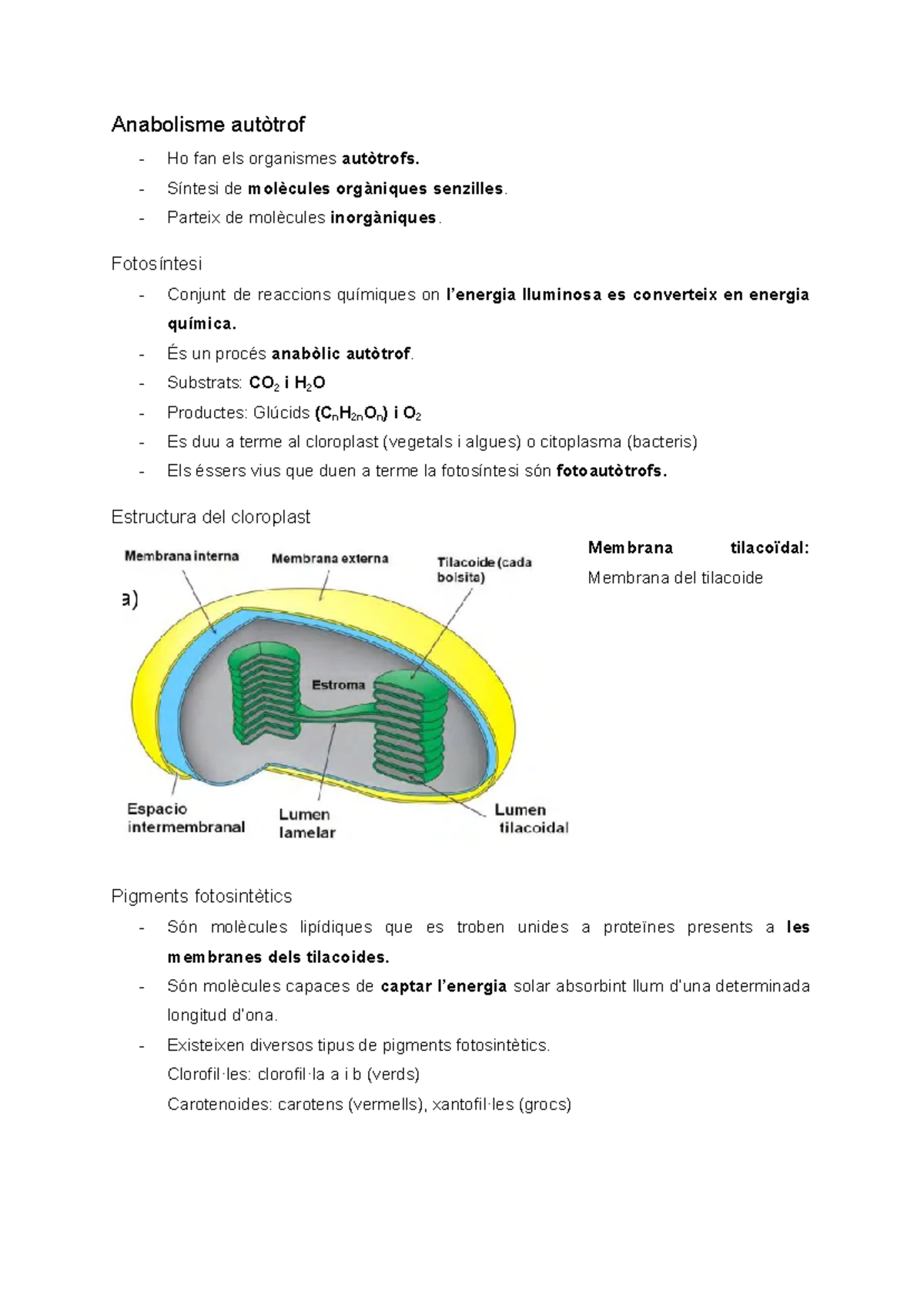 Anabolisme autòtrof - Anabolisme autòtrof Ho fan els organismes ...