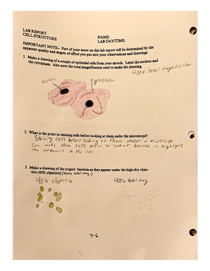 Bio 2 8 - Biology 105 Chapter 3 Lecture notes - The cell, chapter 3 ...