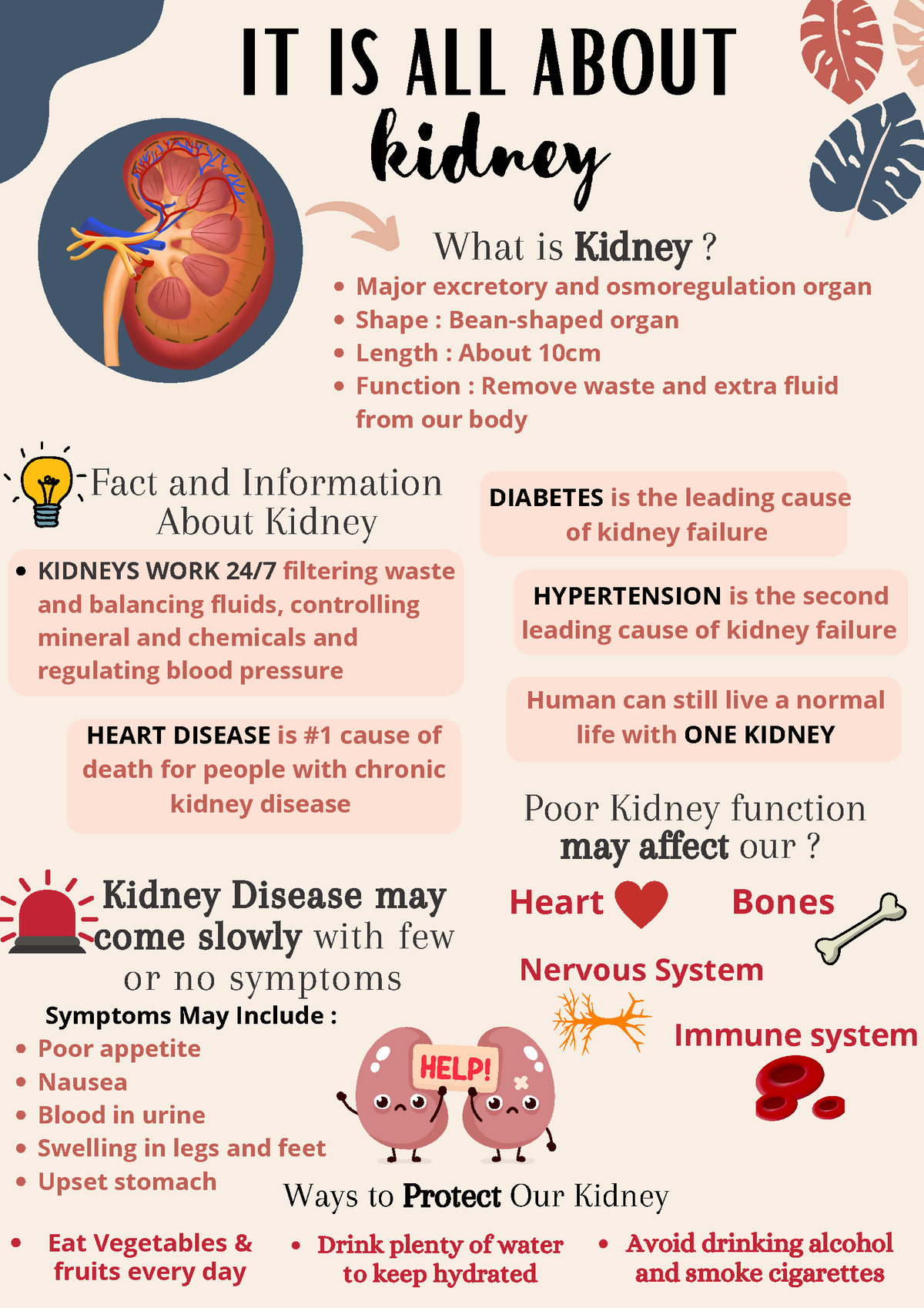 Kidney - curekidneycancer. (n.). ####### Retrieved February 19, 2022 ...