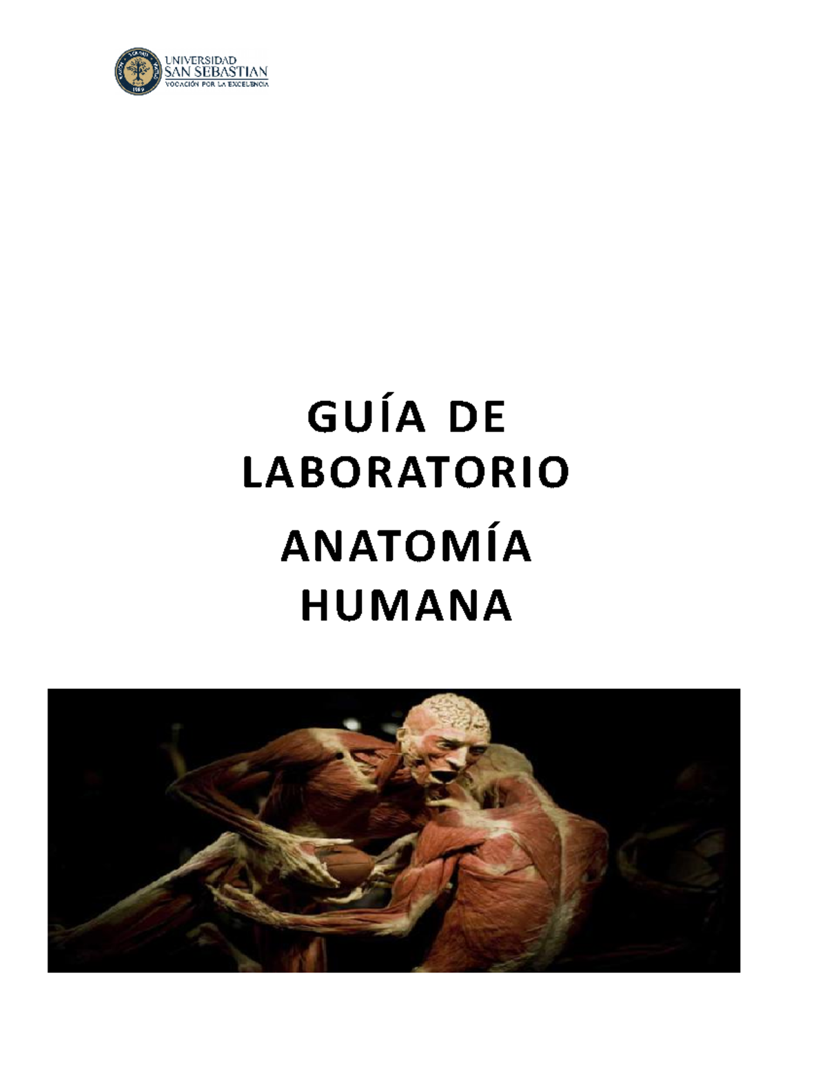 GUIA DE LAB anato 4 - practico para control - GUÍA DE LABORATORIO ...