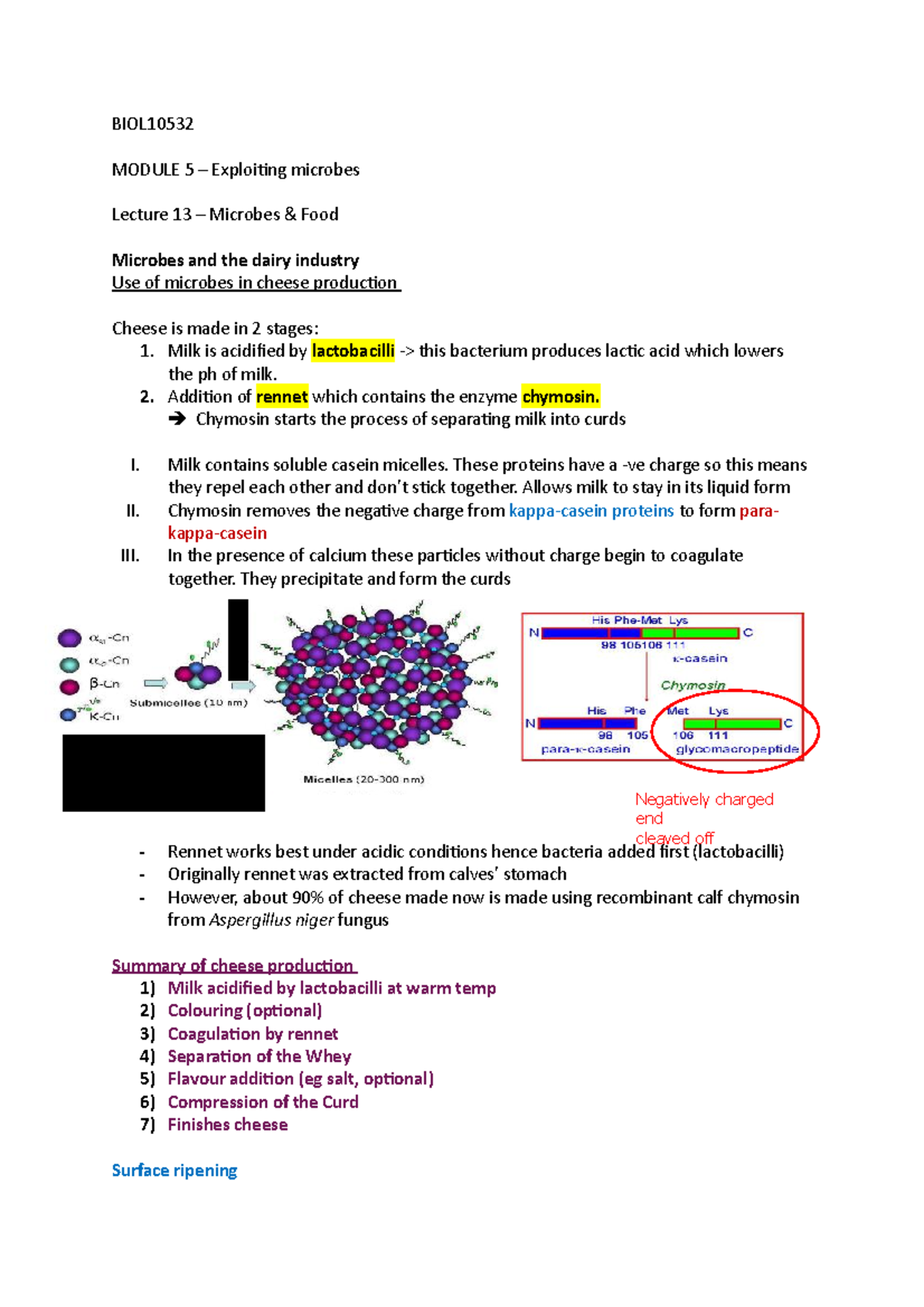 Module 5 - Lecture 13 - BIOL MODULE 5 – Exploiting microbes Lecture 13 ...