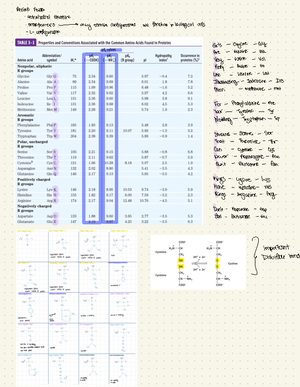 Biochem 1 Chapters 7,10,11 - CHEM 32002 - Studocu