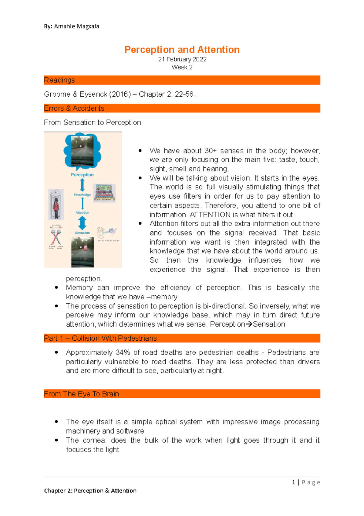 Perception & Attention - Perception and Attention 21 February 2022 Week ...