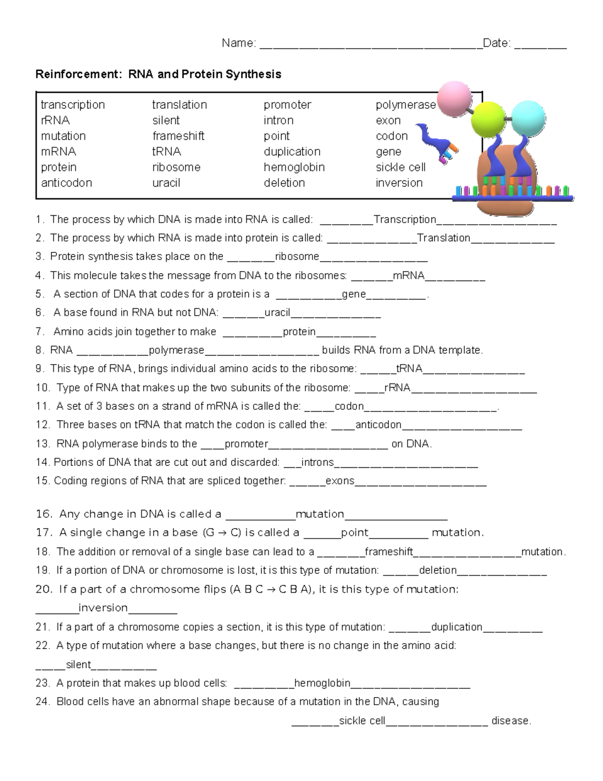 Reinforcement ++RNA+and+Protein+Synthesis+(Bee+Book)+ - Name: - Studocu
