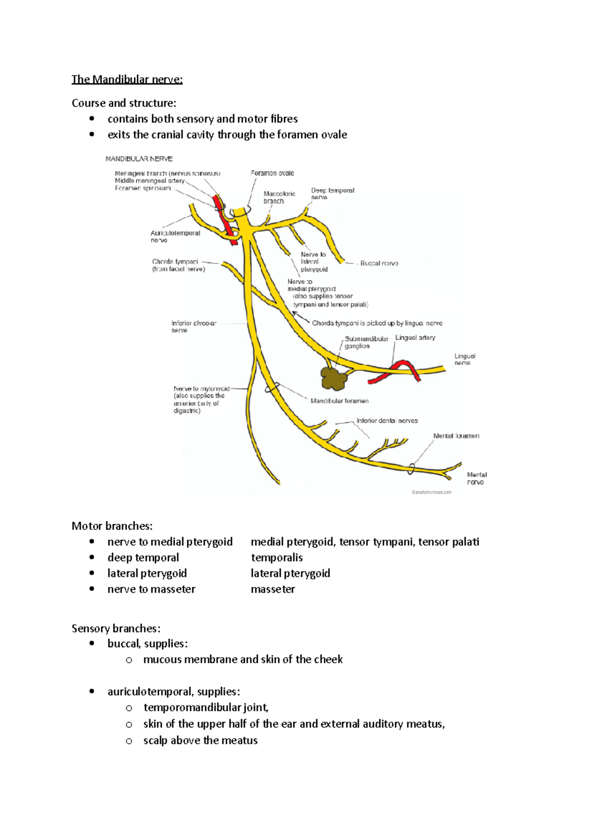 HNA - Lent - Revision - What are the courses of the individual branches ...