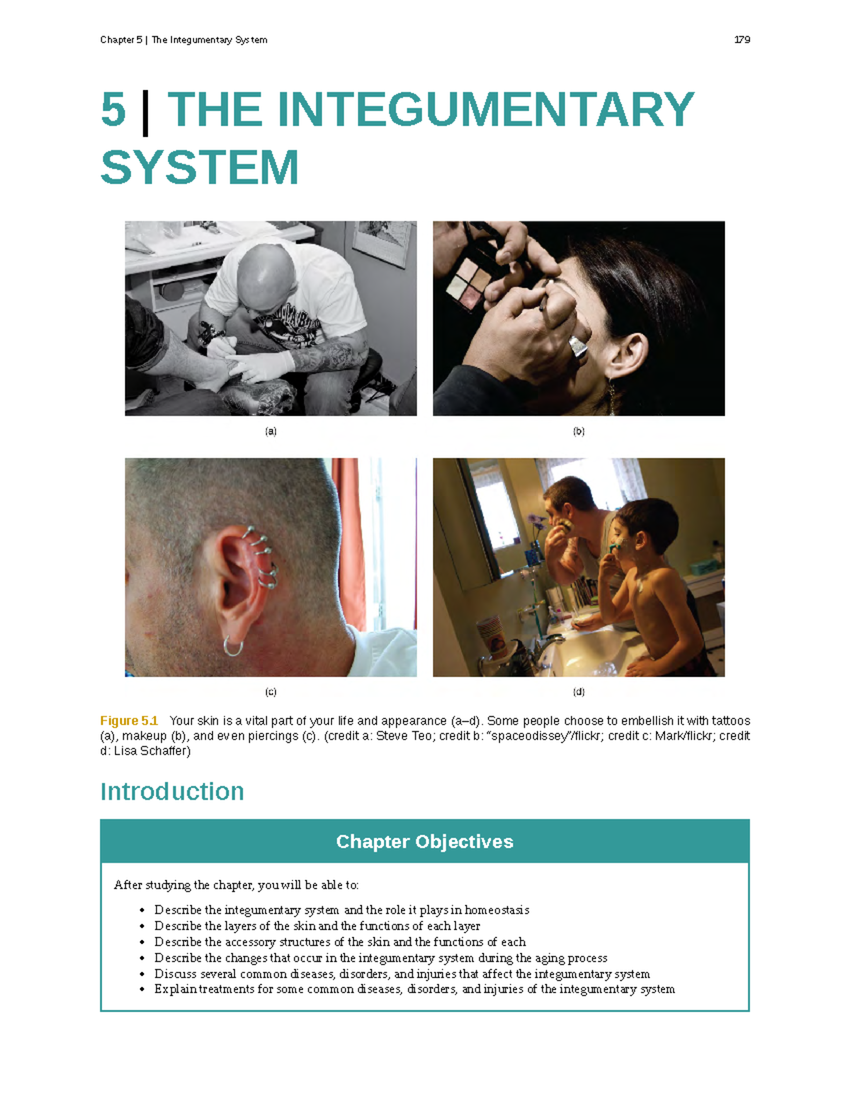 chapter-5-text-5-the-integumentary-system-figure-5-your-skin-is-a