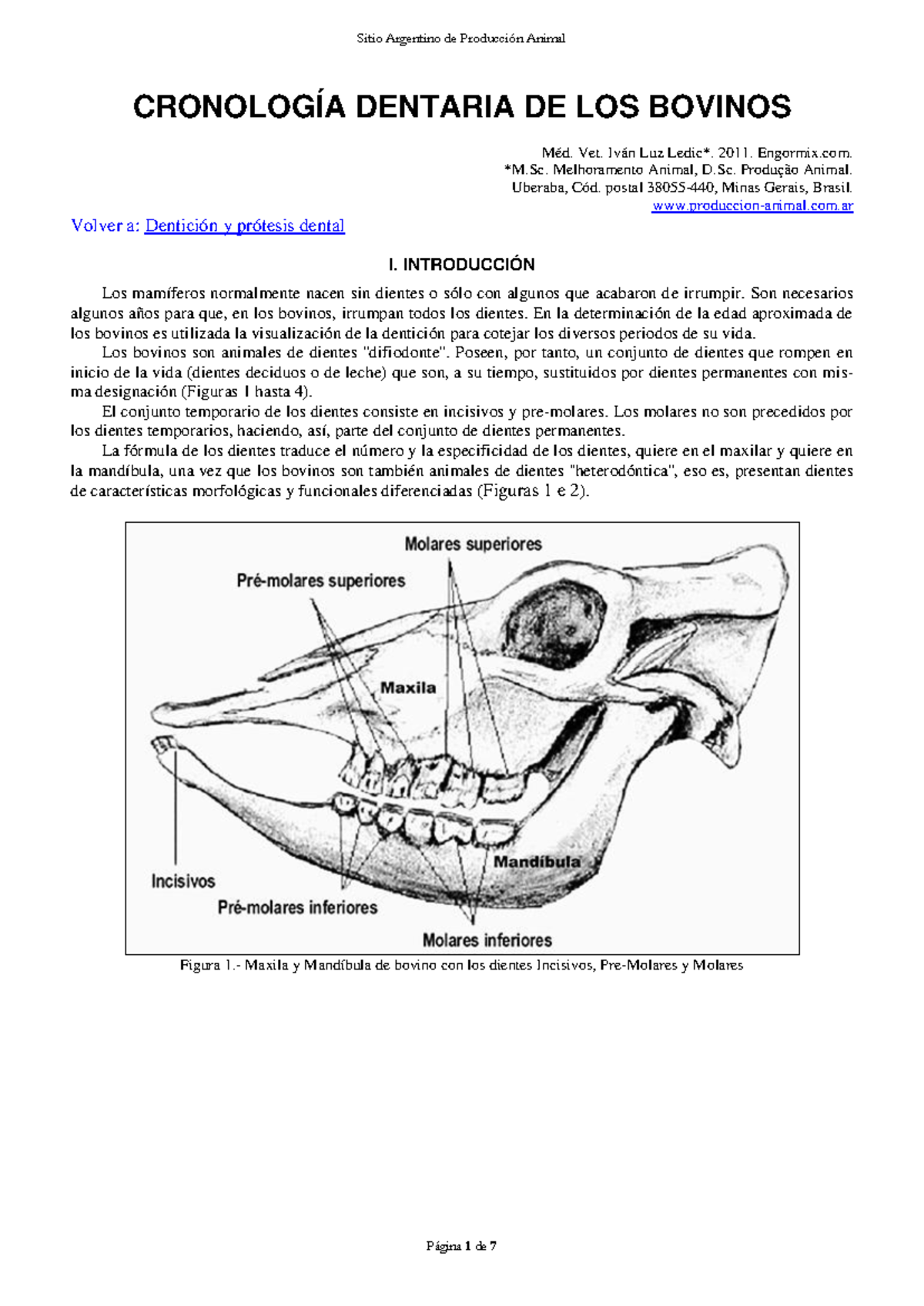 27-Cronologia dentaria - CRONOLOGÍA DENTARIA DE LOS BOVINOS Méd. Vet