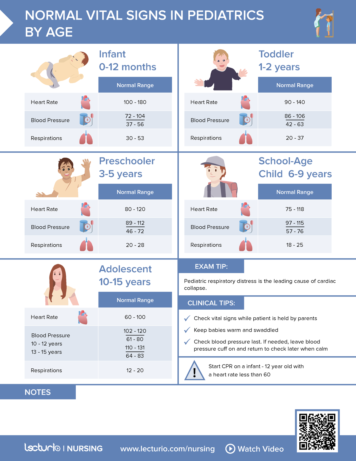 Peds Normal-Vital-Signs - Lecturio/nursing Watch Video NOTES NORMAL ...