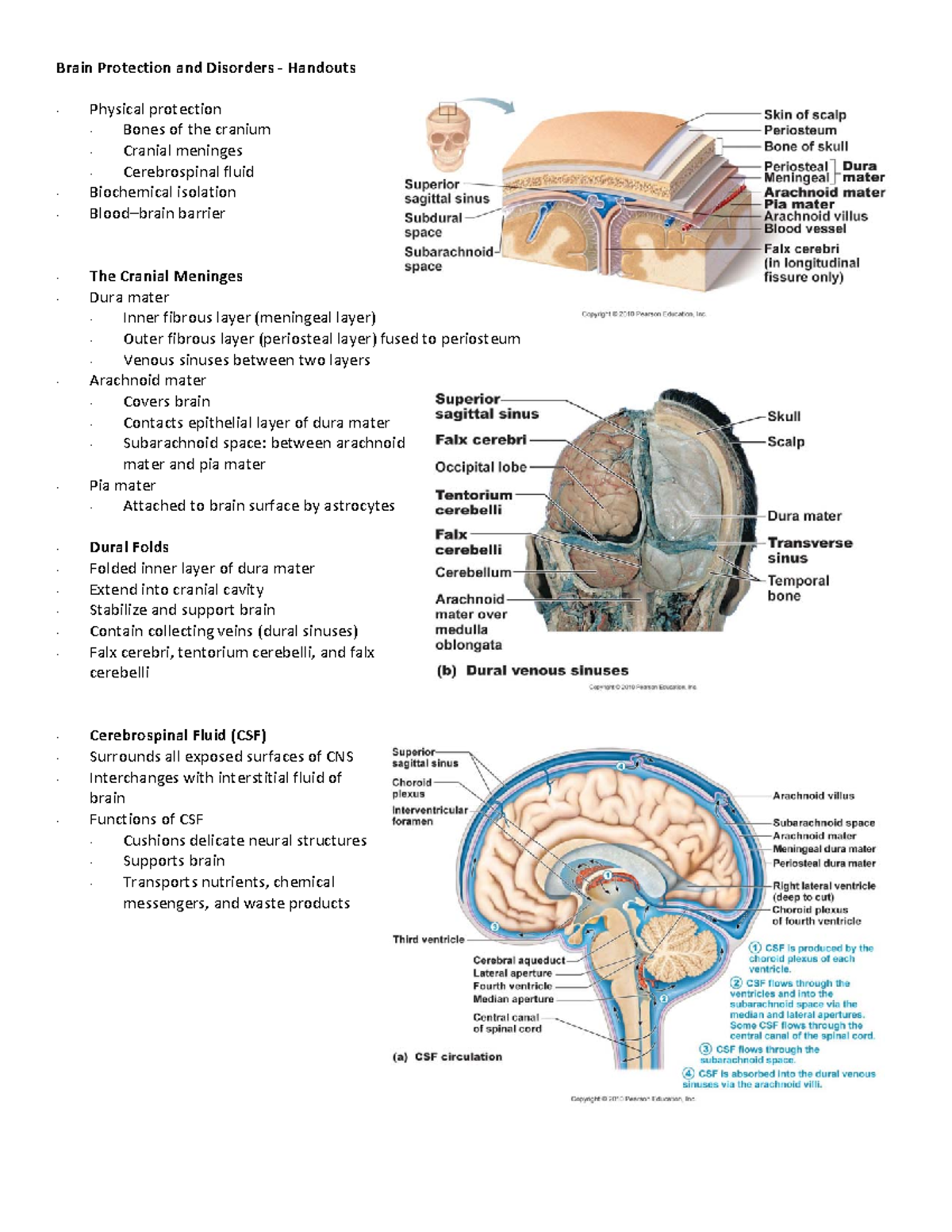 Brain Protection and Disorders - Brain Protection and Disorders ...