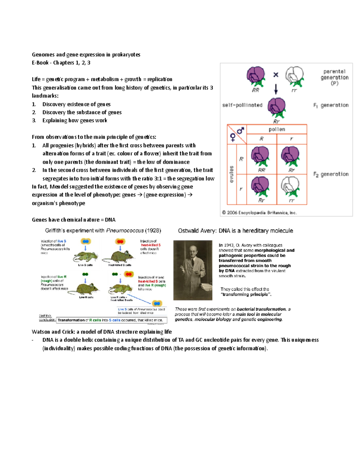 Genomes and gene expression in prokaryotes - 6H5Z1036 - MMU - Studocu