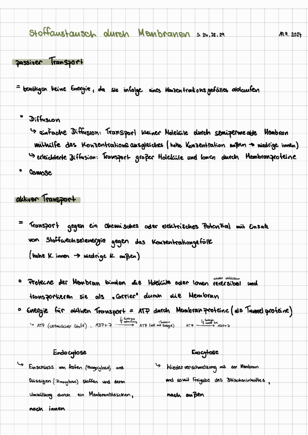 Notes 240919 085415 - Aufnahme von Wasser uns Mineralien durch die ...
