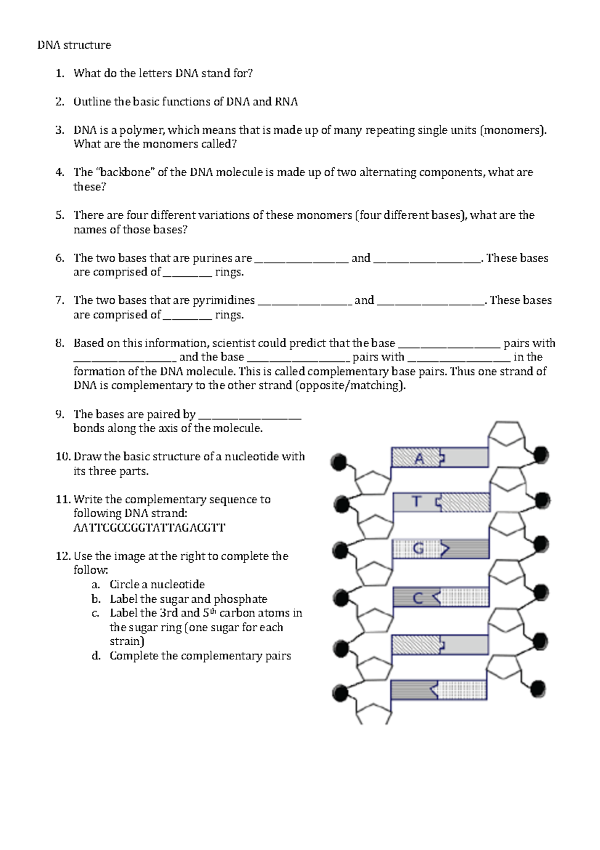 dna-structure-worksheet