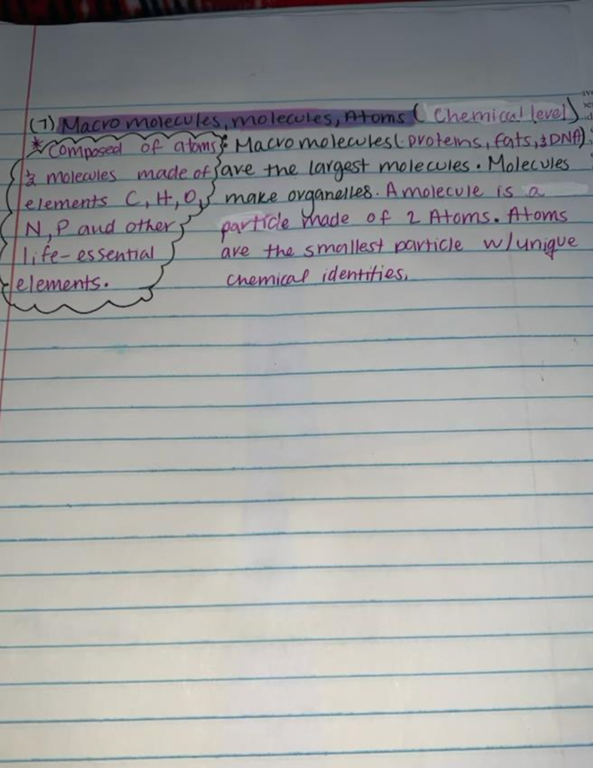 Document 6 pdf - notes - BSC2085 - Studocu