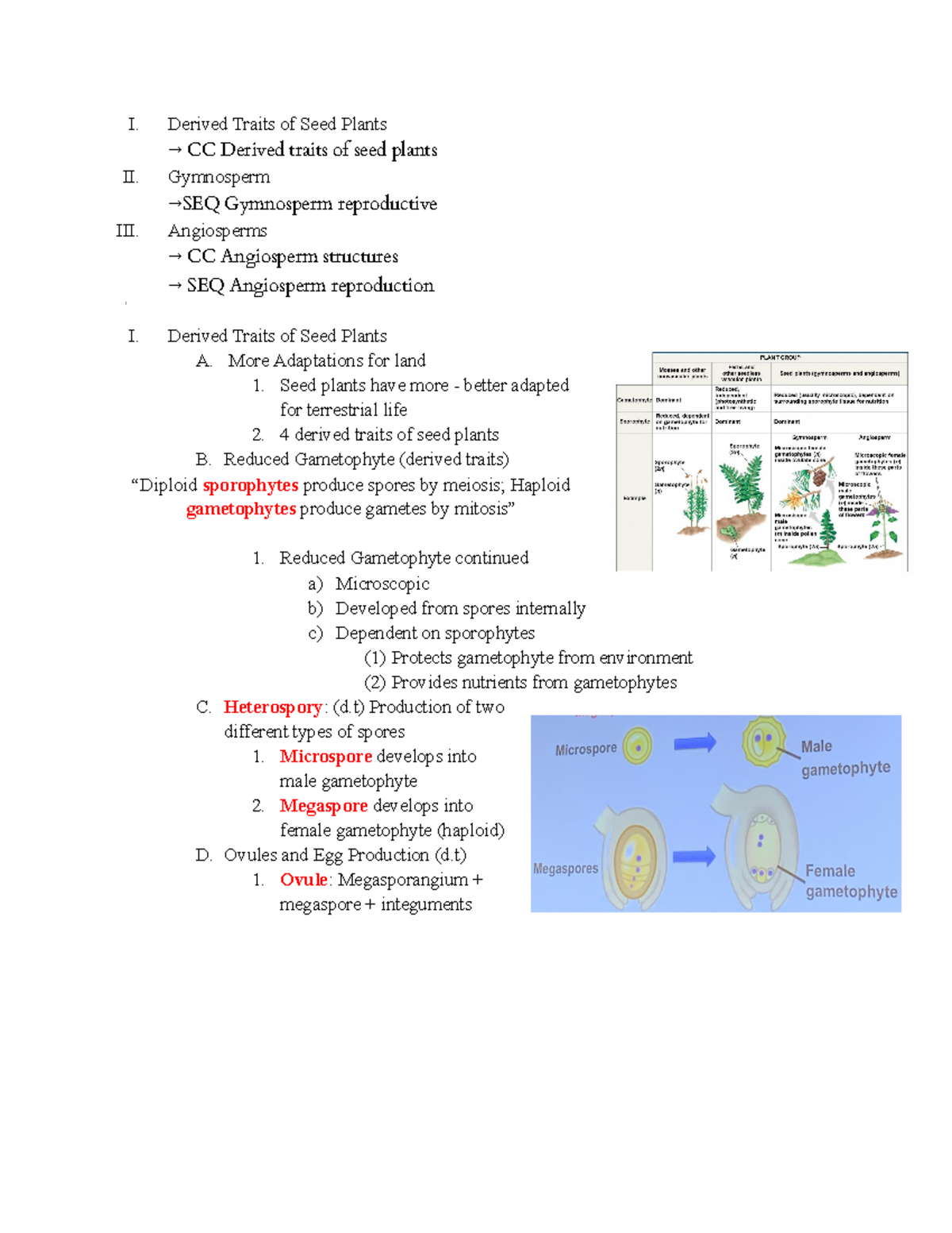 Topic 9 Plant Diversity Ii I Derived Traits Of Seed Plants Cc Derived Traits Of Seed Plants Ii Studocu