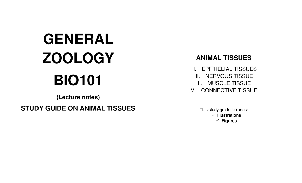 Zoology Animal Tissues Lecture Notes GENERAL ZOOLOGY BIO (Lecture