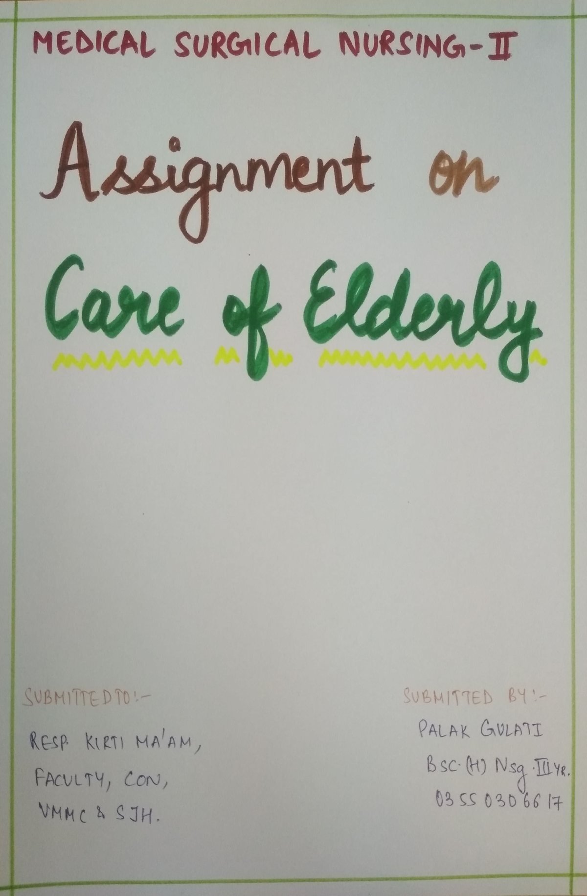 assignment-care-of-elderly-bsc-hons-nursing-studocu