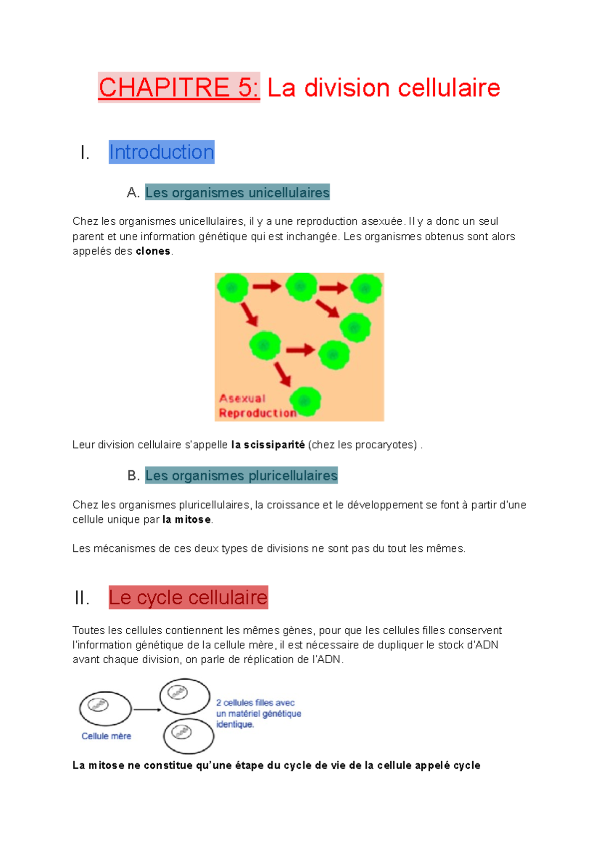 Chapitre 5 La Division Cellulaire - CHAPITRE 5: La Division Cellulaire ...