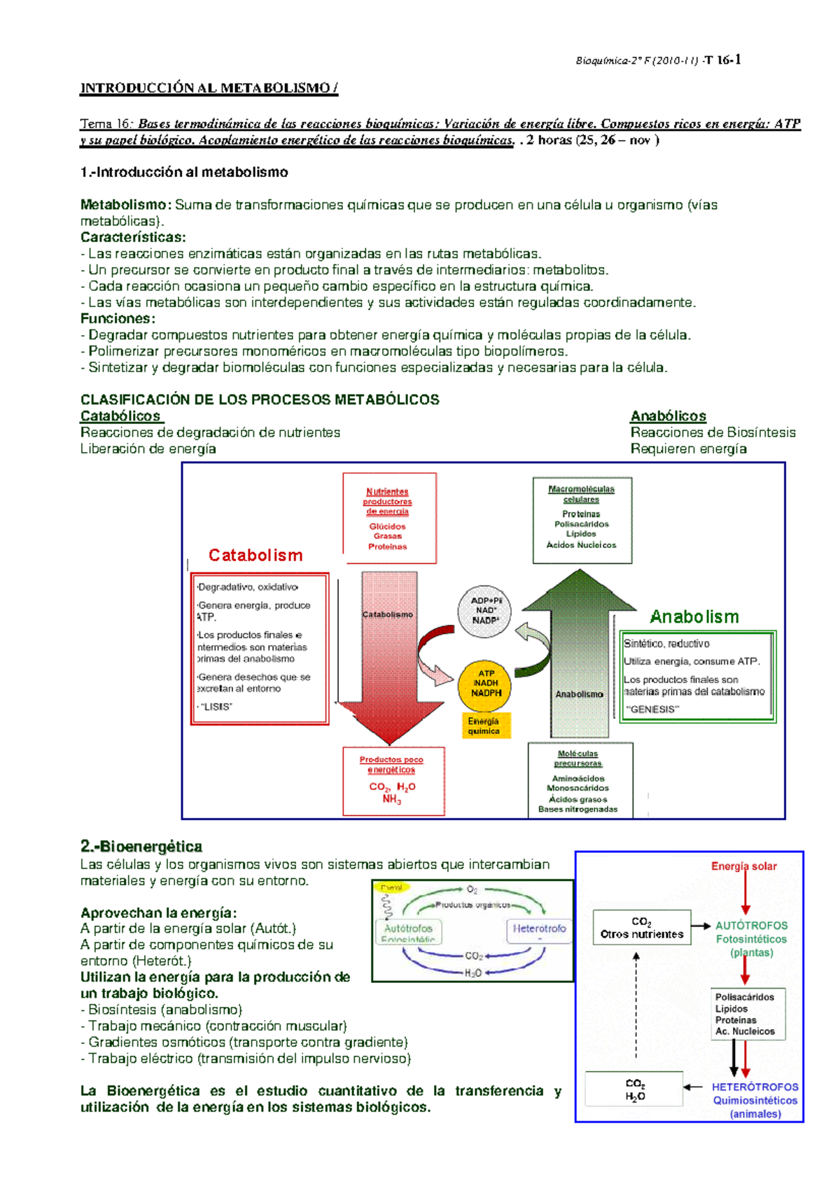 R-T16-bioenergetica - Cátedra 1er Ano - INTRODUCCIÓN AL METABOLISMO ...