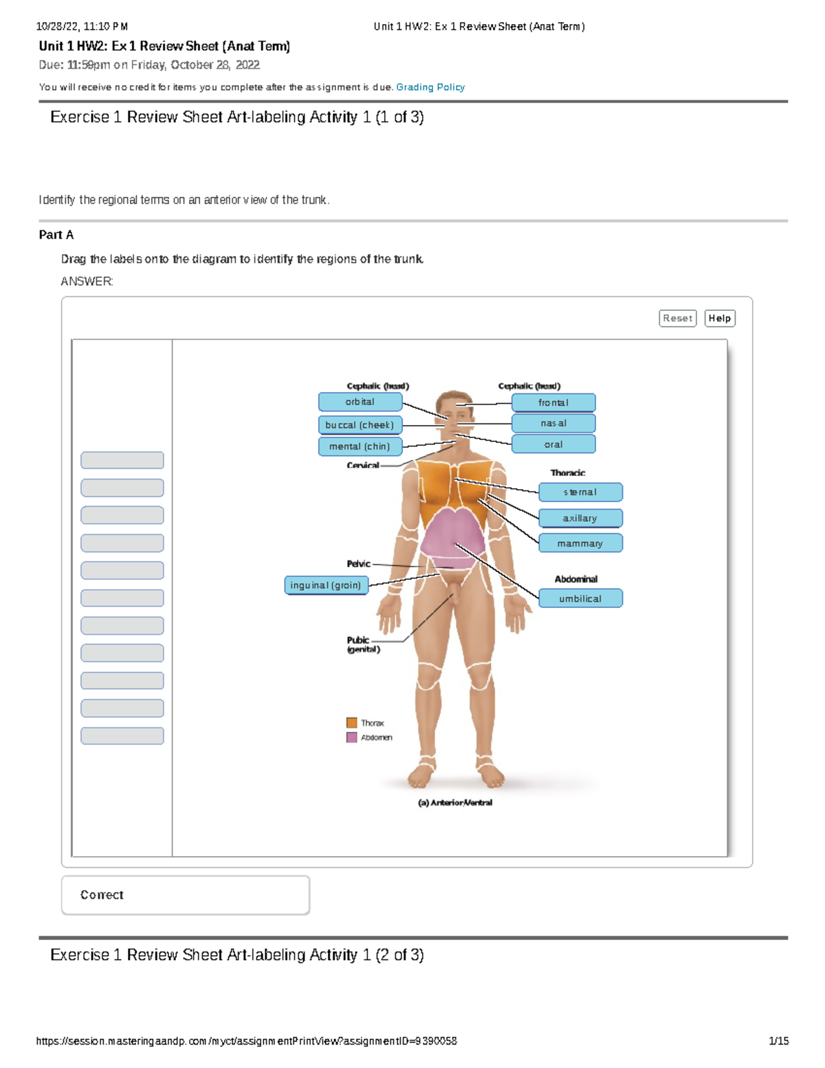 unit-1-hw2-ex-1-review-sheet-anat-term-unit-1-hw2-ex-1-review