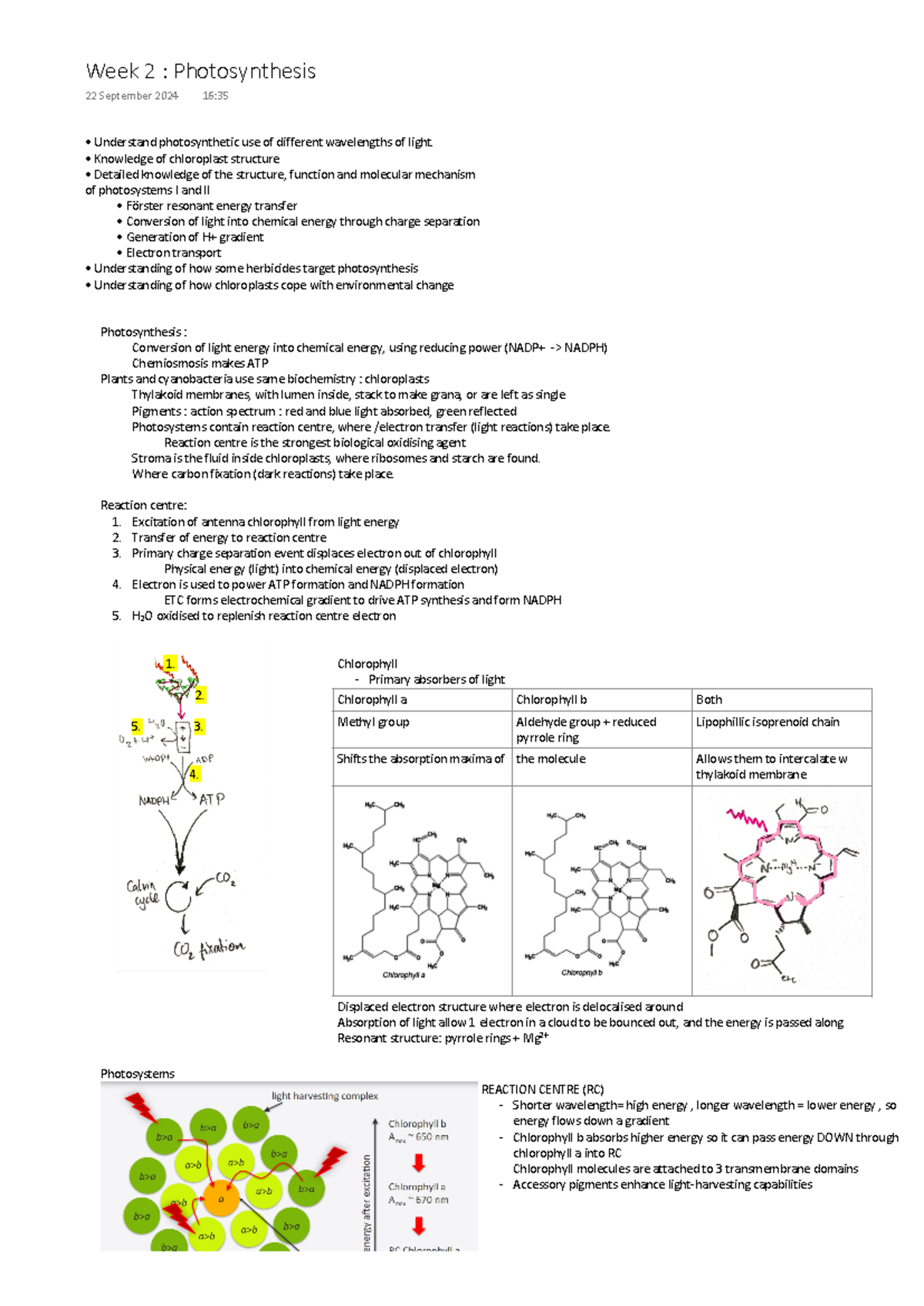 Photosynthesis notes - Understand photosynthetic use of different ...