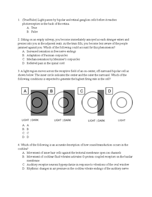 NE 101 Lecture 4 Compiled Notes - Neuronal Physiology I - Brain is like ...