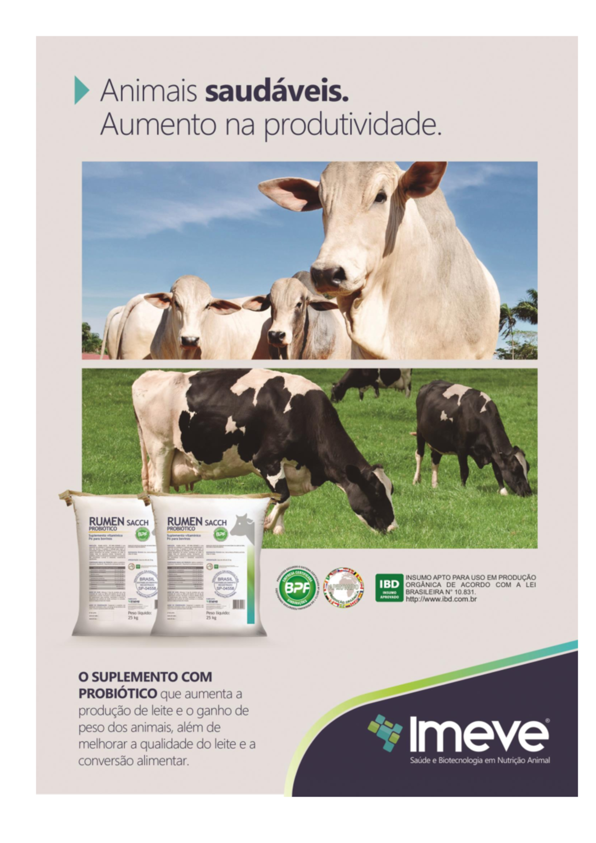 Lâmina Rumen Sacch - Necessário - RUMEN SACCH RUMEN SACCH PROBIÓTICO ...