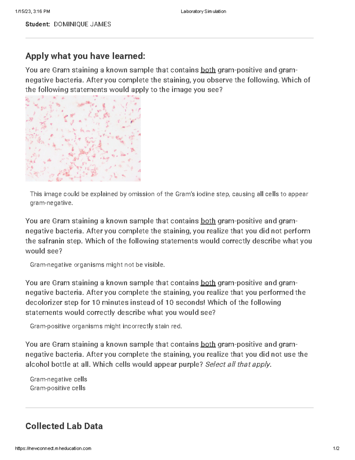 M1.5 Module 1 Lab Gram Staining - 1/15/23, 3:16 PM Laboratory ...