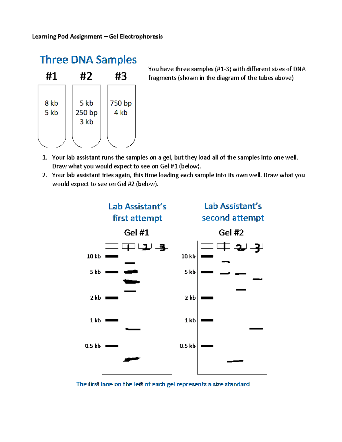 07-Learning Pod - Gel Electrophoresis - LS 7A - Learning Pod Assignment ...