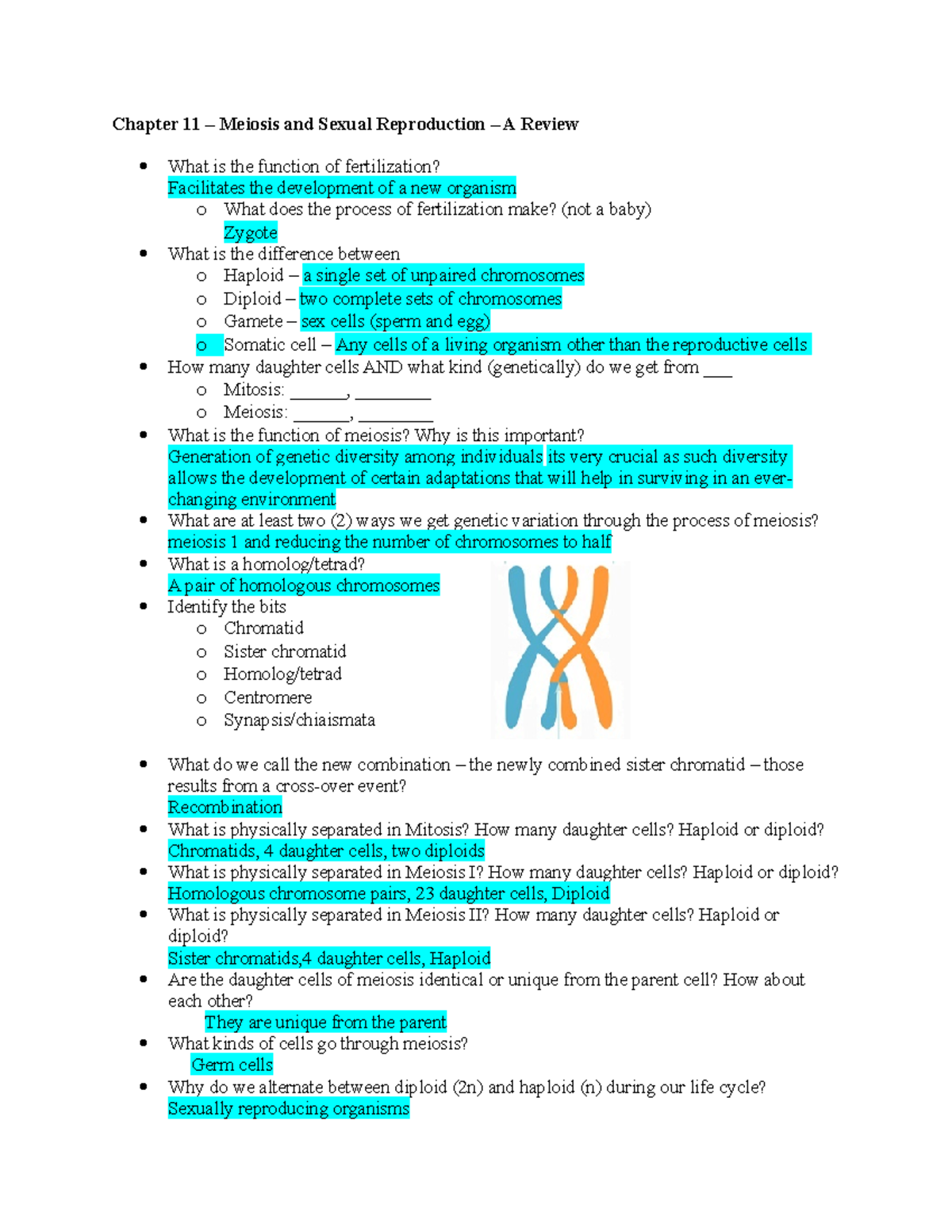 Chapter 11meiosis Lecture Notes Chapter 11 Meiosis And Sexual Reproduction A Review What 